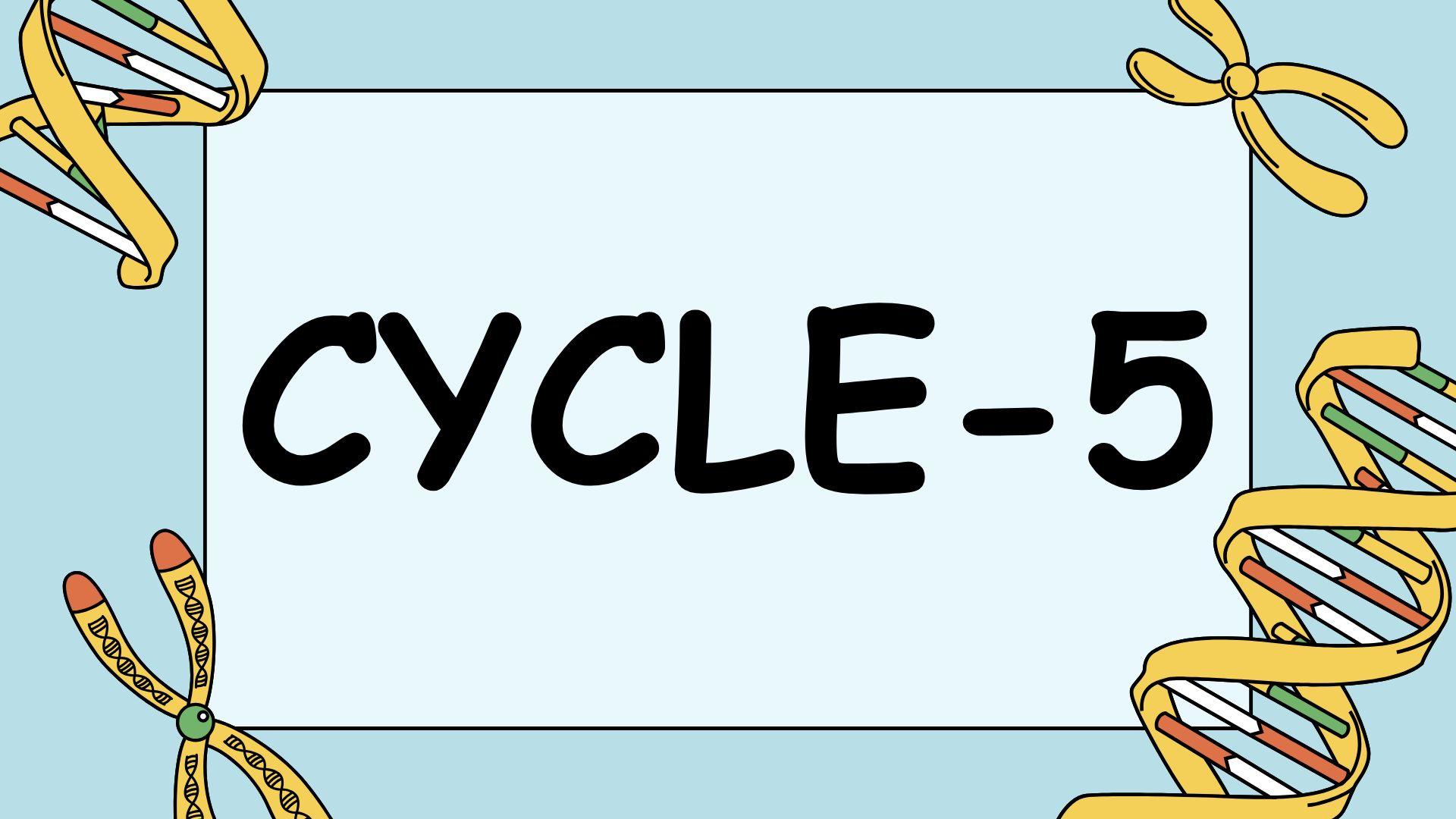 Cycle 5